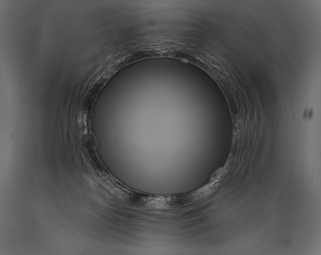 X0000088860182200706291526