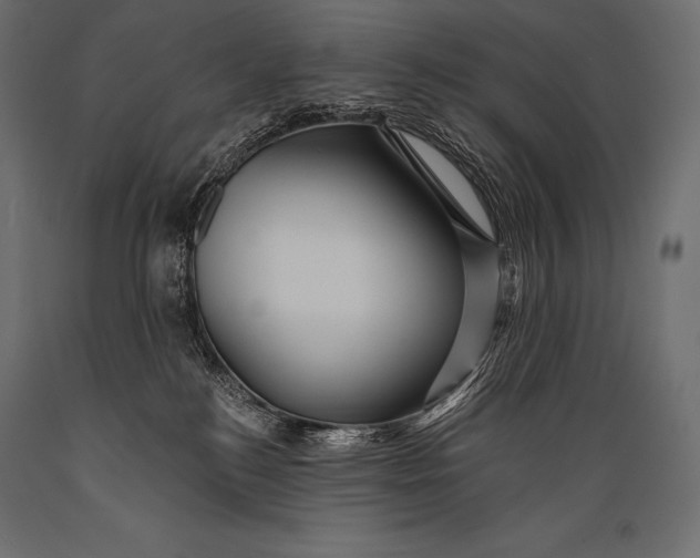 X0000088860184200706291526