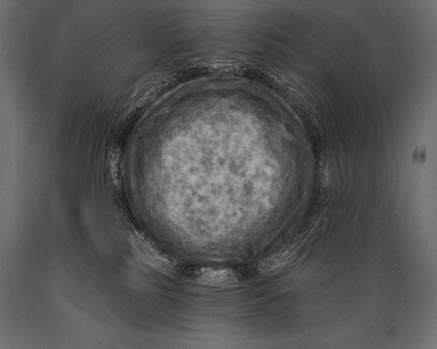 X0000088860185200706291526