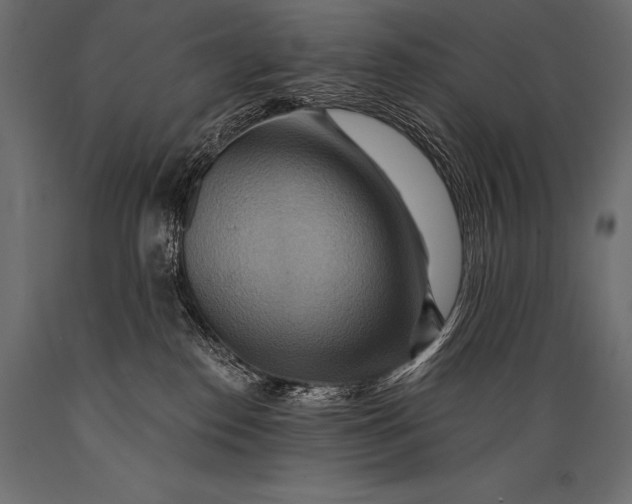 X0000088860186200706291526