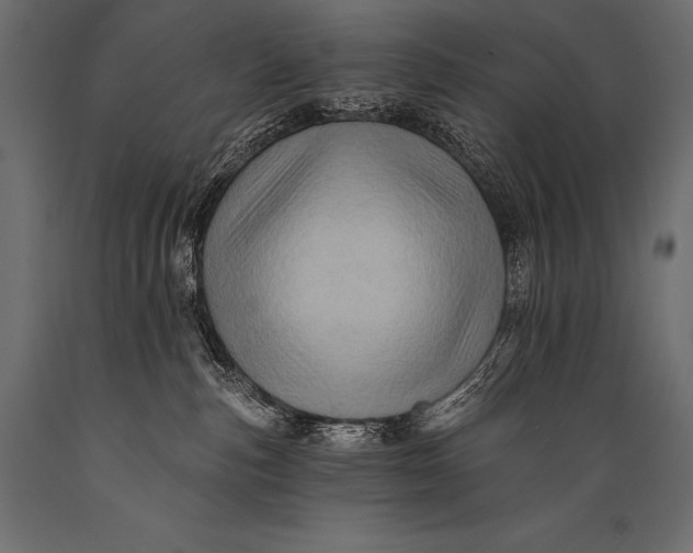 X0000088860187200706291526