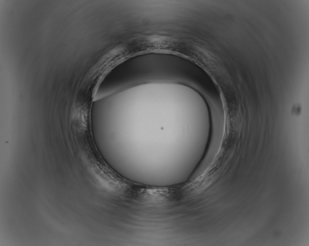 X0000088860188200706291526