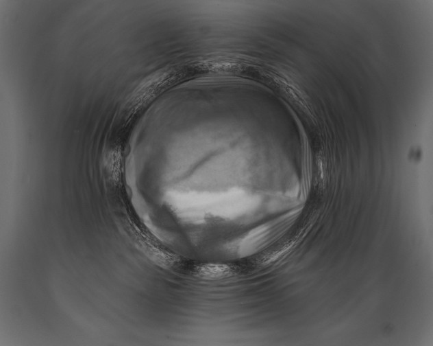 X0000088860189200706291526