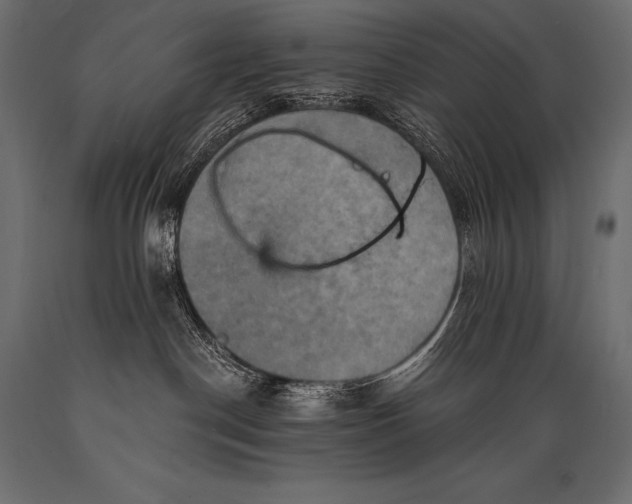 X0000088860190200706291526