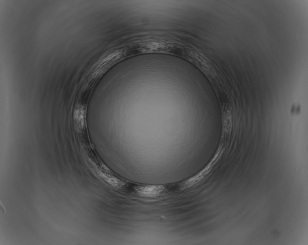 X0000088860191200706291526