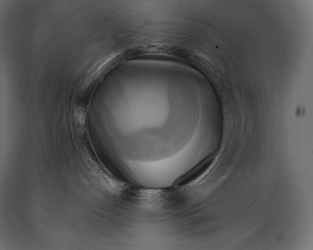 X0000088860192200706291526