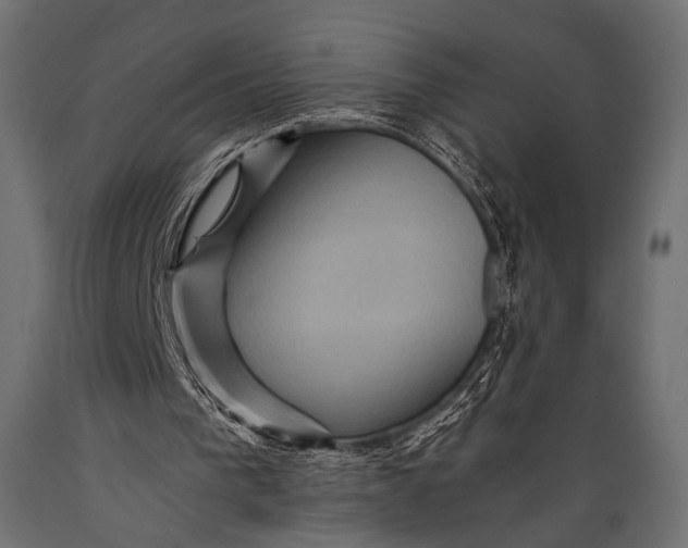 X0000088860193200706291525