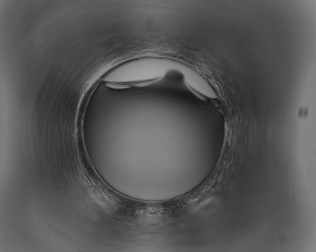 X0000088860196200706291525