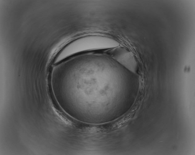 X0000088860197200706291525