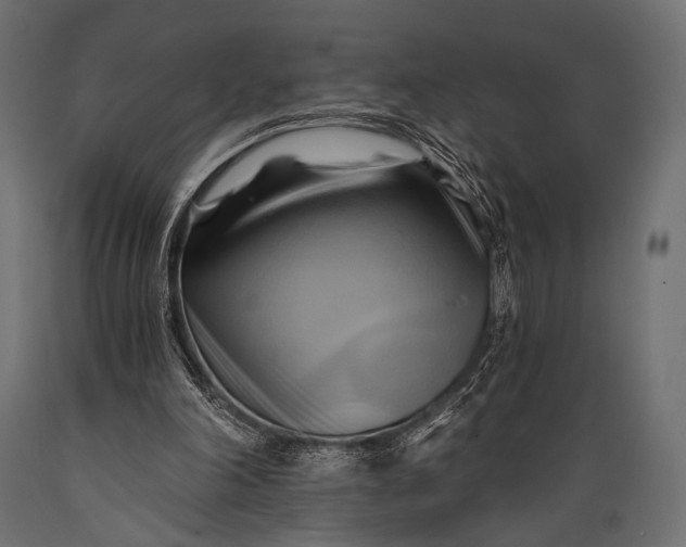 X0000088860198200706291525