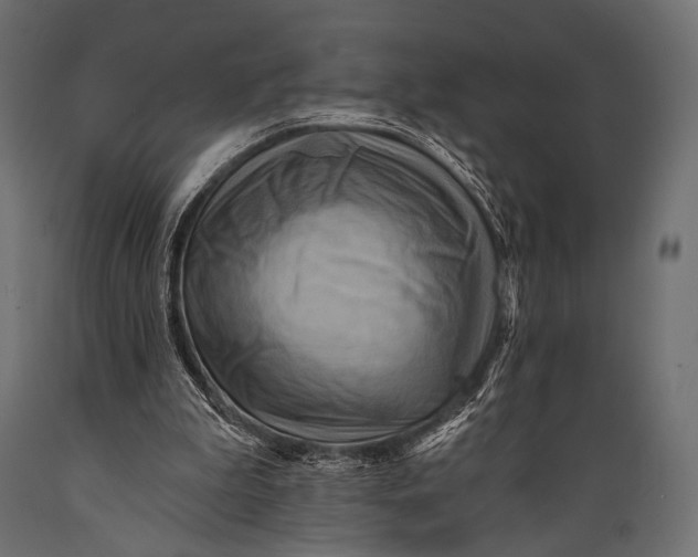 X0000088860199200706291525