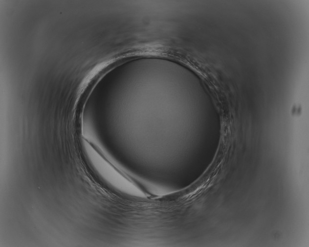 X0000088860200200706291525