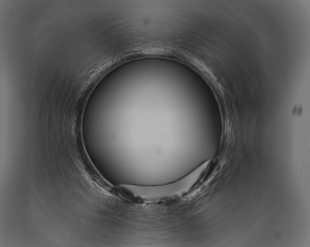 X0000088860201200706291525