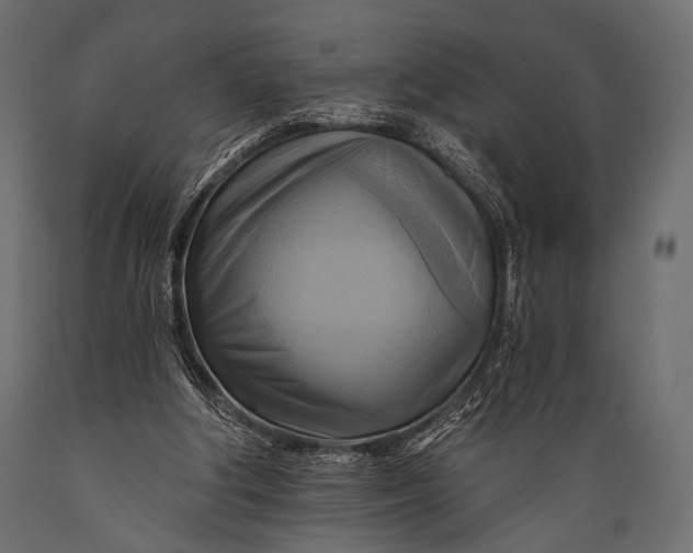 X0000088860202200706291525