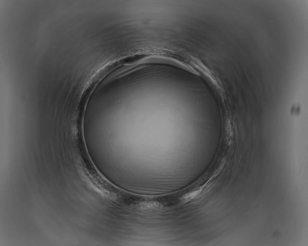 X0000088860203200706291525