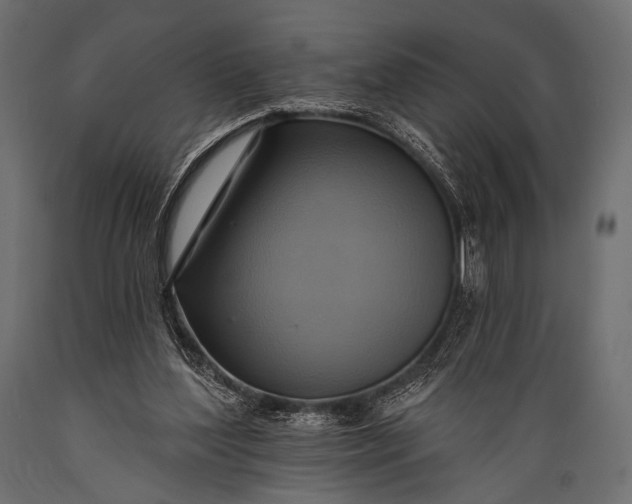 X0000088860204200706291525