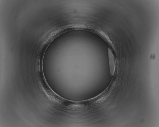 X0000088860205200706291525