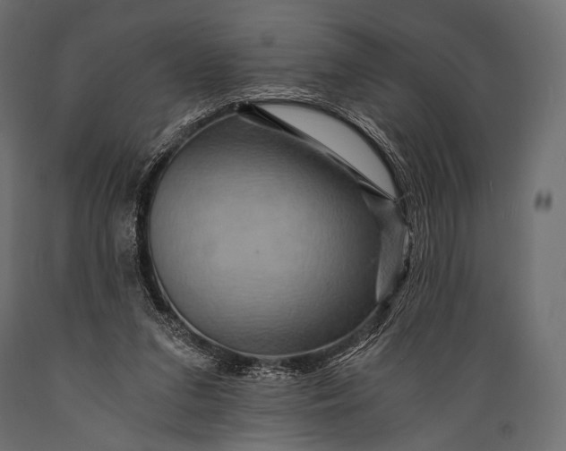 X0000088860207200706291525