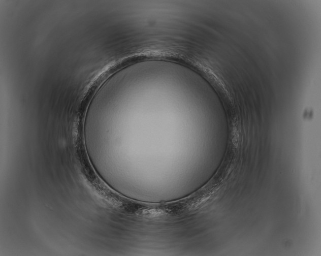 X0000088860208200706291525