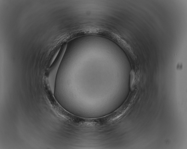 X0000088860209200706291525