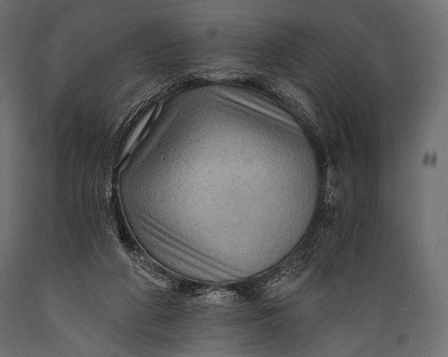 X0000088860210200706291525