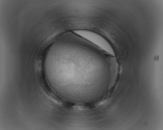 X0000088860211200706291525