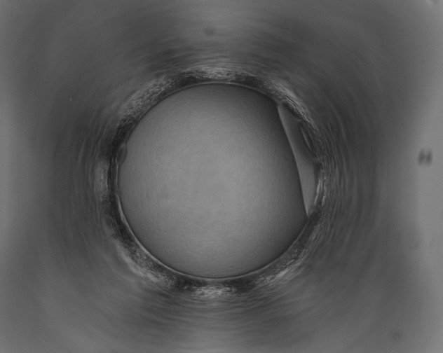 X0000088860213200706291525