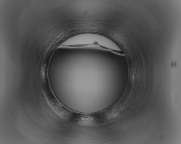 X0000088860214200706291525