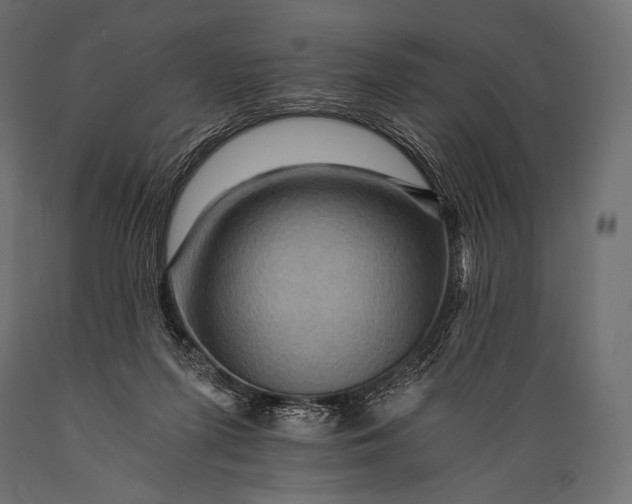 X0000088860215200706291525