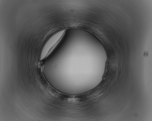 X0000088860216200706291525