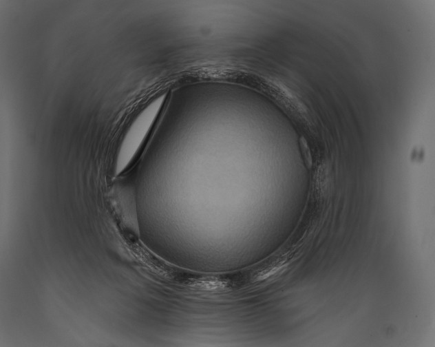 X0000088860217200706291525