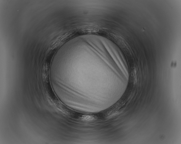 X0000088860218200706291525