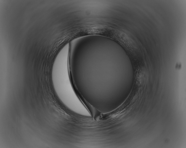 X0000088860219200706291525