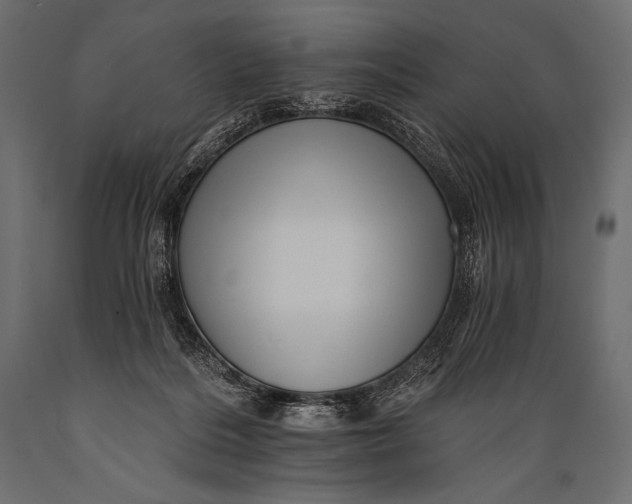 X0000088860220200706291525