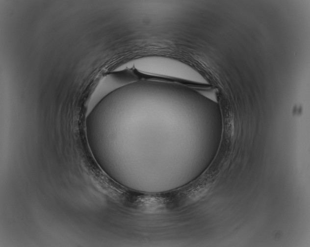 X0000088860221200706291525