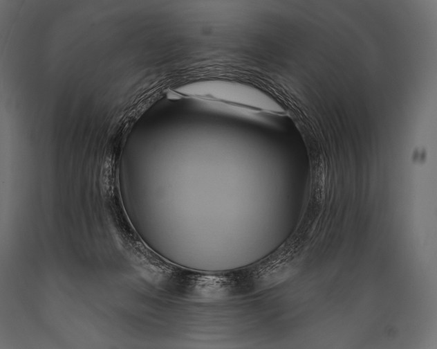 X0000088860222200706291525