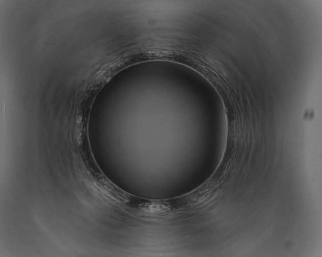 X0000088860223200706291525