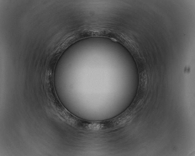 X0000088860225200706291525