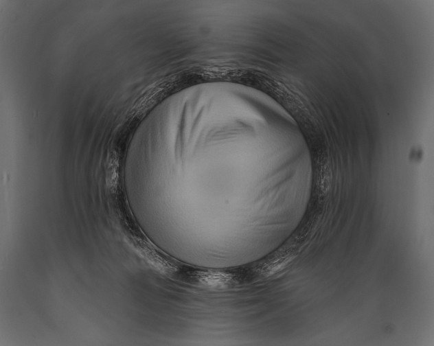 X0000088860226200706291525