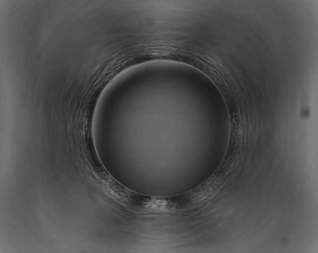 X0000088860227200706291525