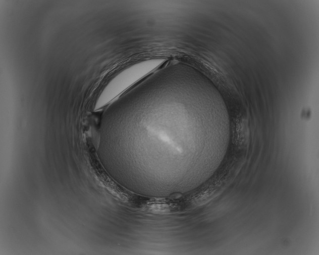 X0000088860228200706291525