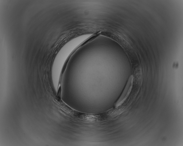 X0000088860229200706291525