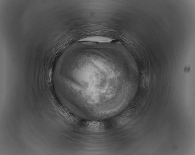 X0000088860230200706291525