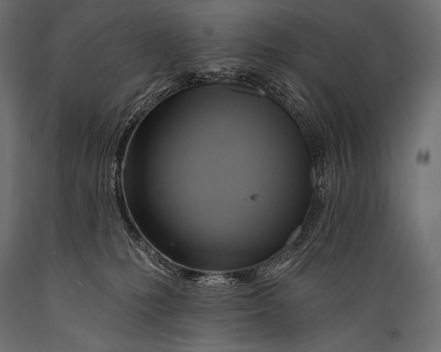 X0000088860231200706291525