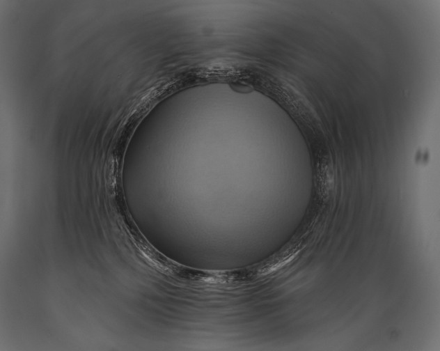 X0000088860232200706291525