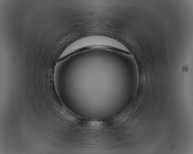 X0000088860233200706291525