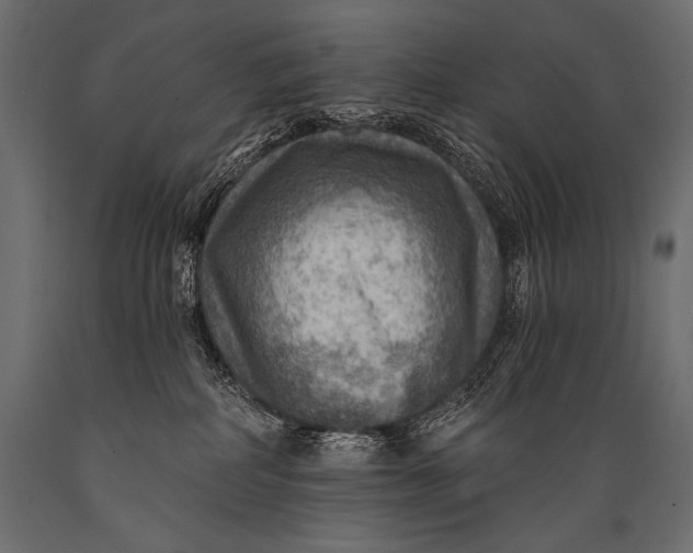 X0000088860234200706291525