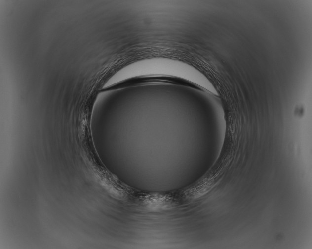 X0000088860235200706291525