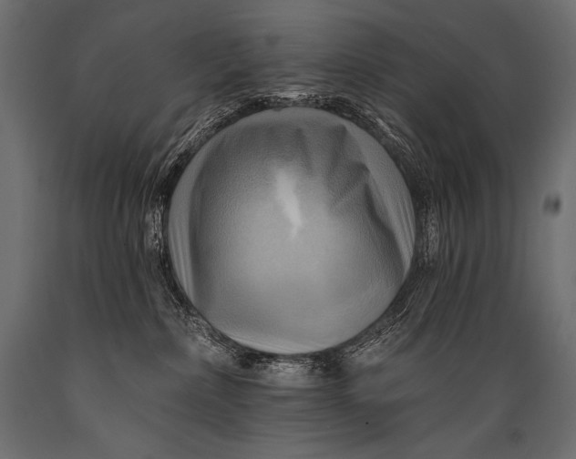 X0000088860236200706291525