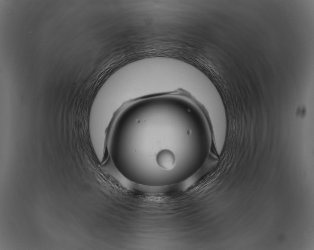 X0000088860237200706291525